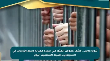 تنويه عاجل.. كشف غموض العثور على سيدة مصابة وسط الزراعات في السنبلاوين وضبط المتهمين اليوم